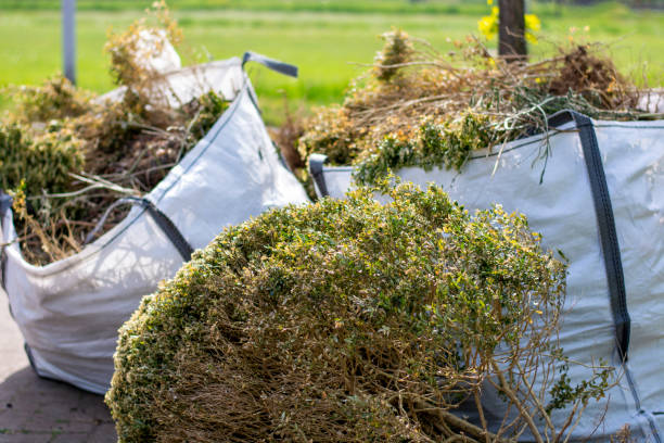 Best Electronics Removal Services  in Stiles, PA